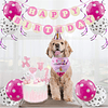 Pack Cumpleaños Mascotas - Perro(a) - Doglover
