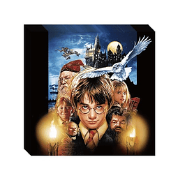 20 Servilletas Harry Potter