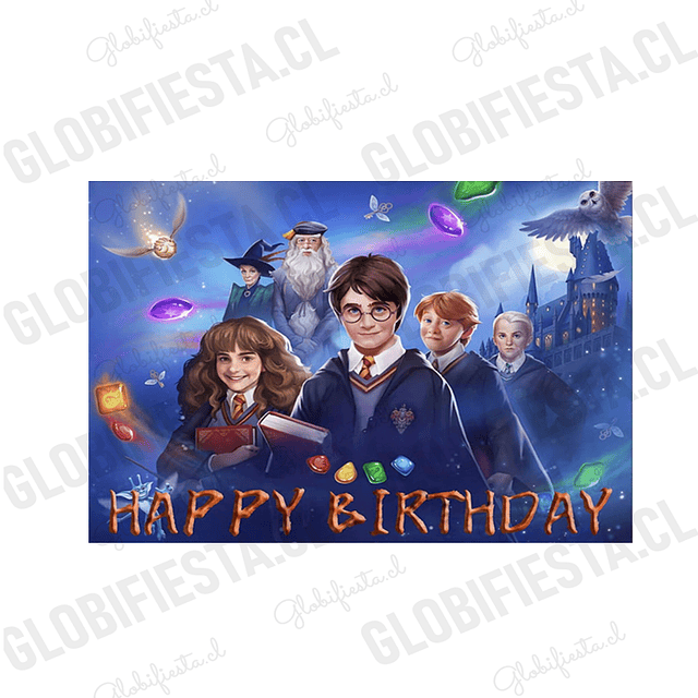 Pack Decoracion Harry Potter con Fondo