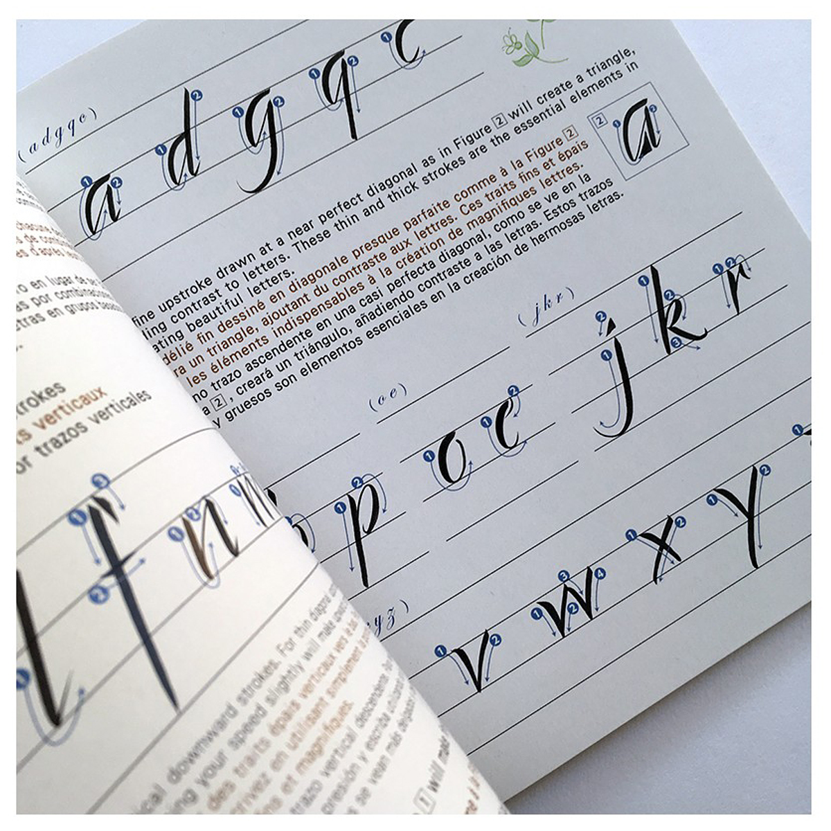 A To ZIG Calligraphy Brush Lettering - Libro Informativo