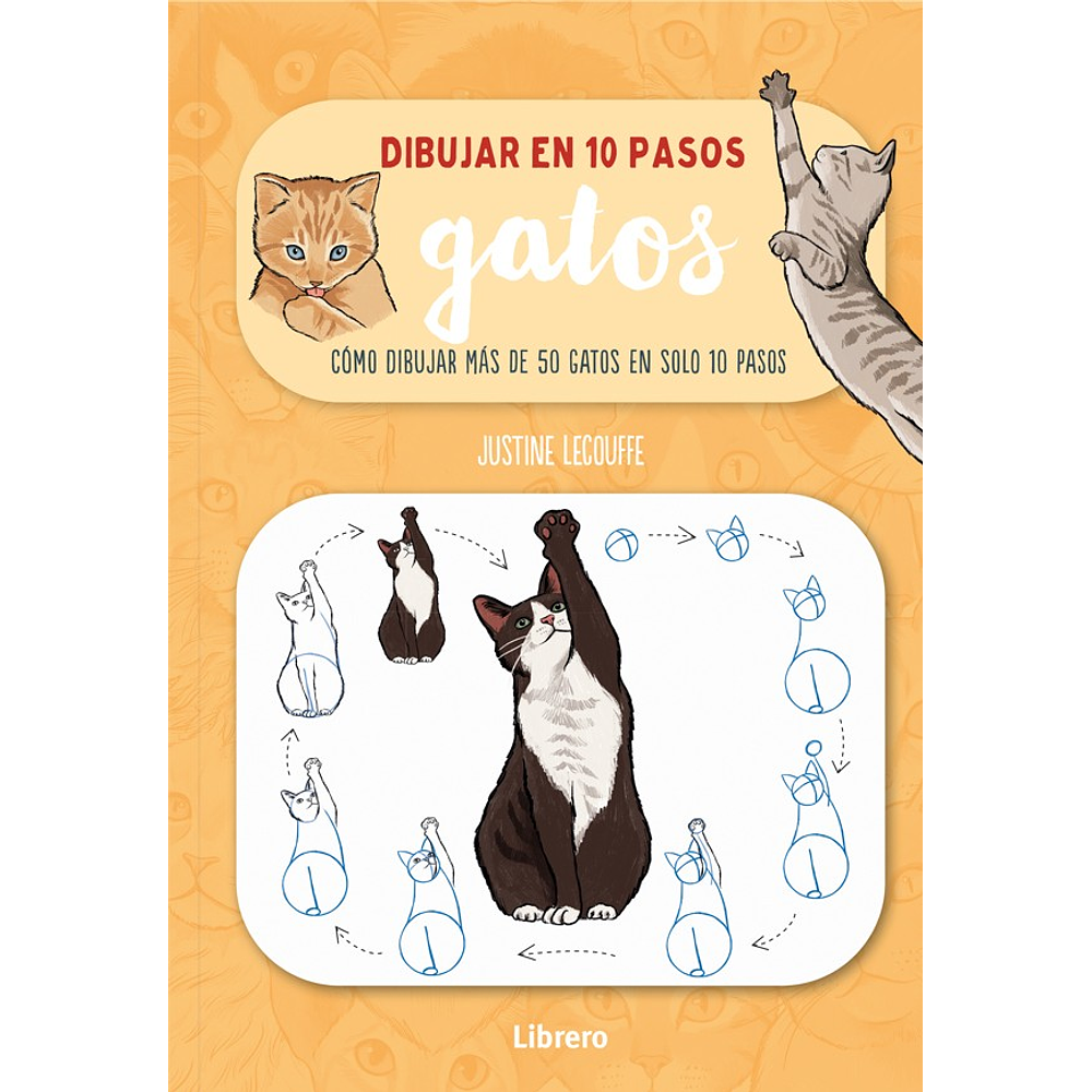 Dibujar En 10 Pasos - Gatos