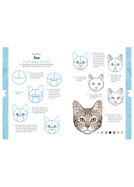 Dibujar En 10 Pasos - Gatos