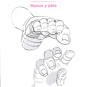 Anatomia Artistica 6 - Manos Y Pies