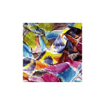 Pintura para Telas - Pebeo Setacolor Opaque - Set 6 Colores - 20ml