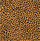Adix - Cartulina 12 Diseńos Animal Print 24 Un - 180 Gr - Miniatura 10