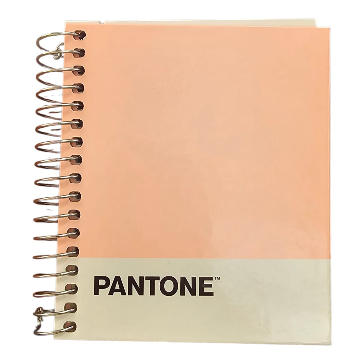 Pantone - Cuaderno Mini Pocket Pastel 9,2x11 cm 100 Hojas 1