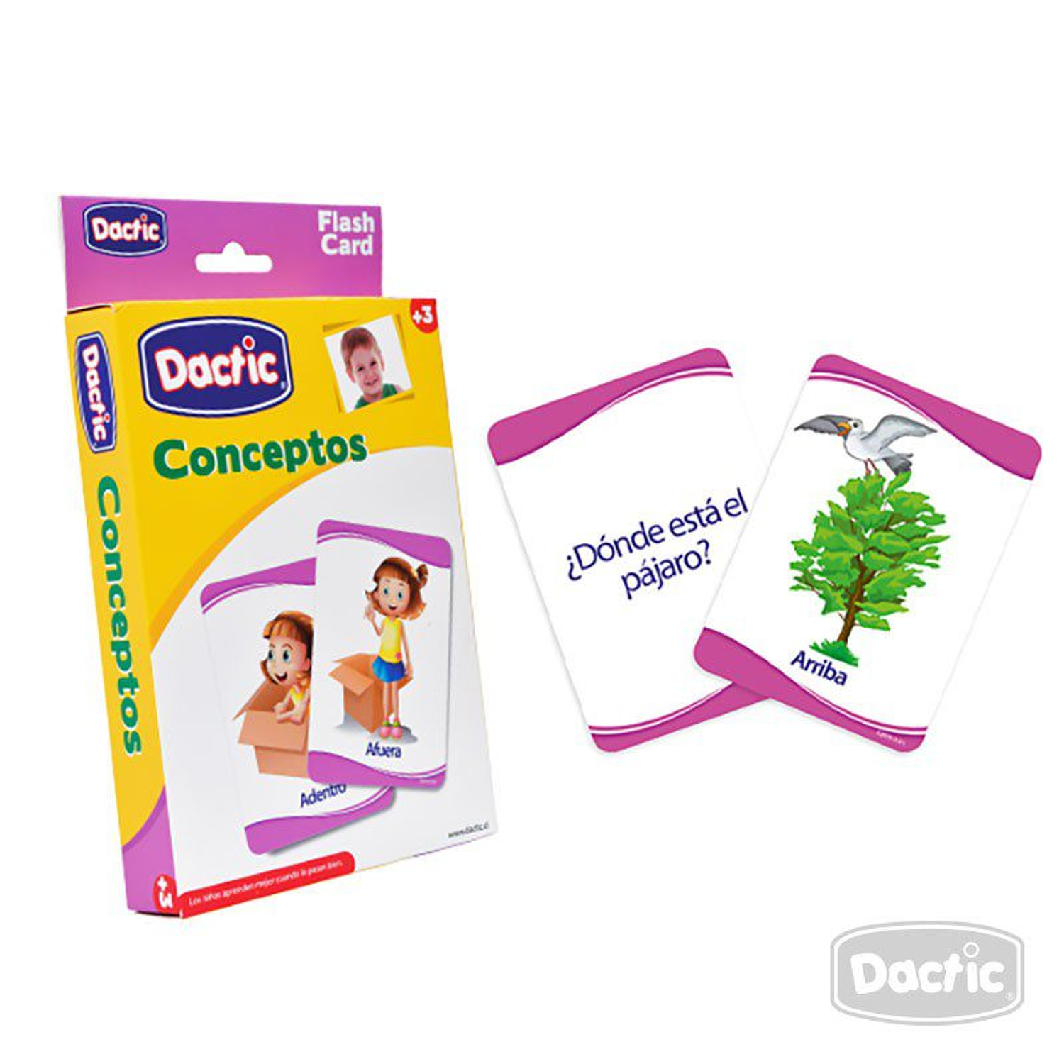 Dactic – Láminas Conceptos 56 Piezas Español e Inglés 2