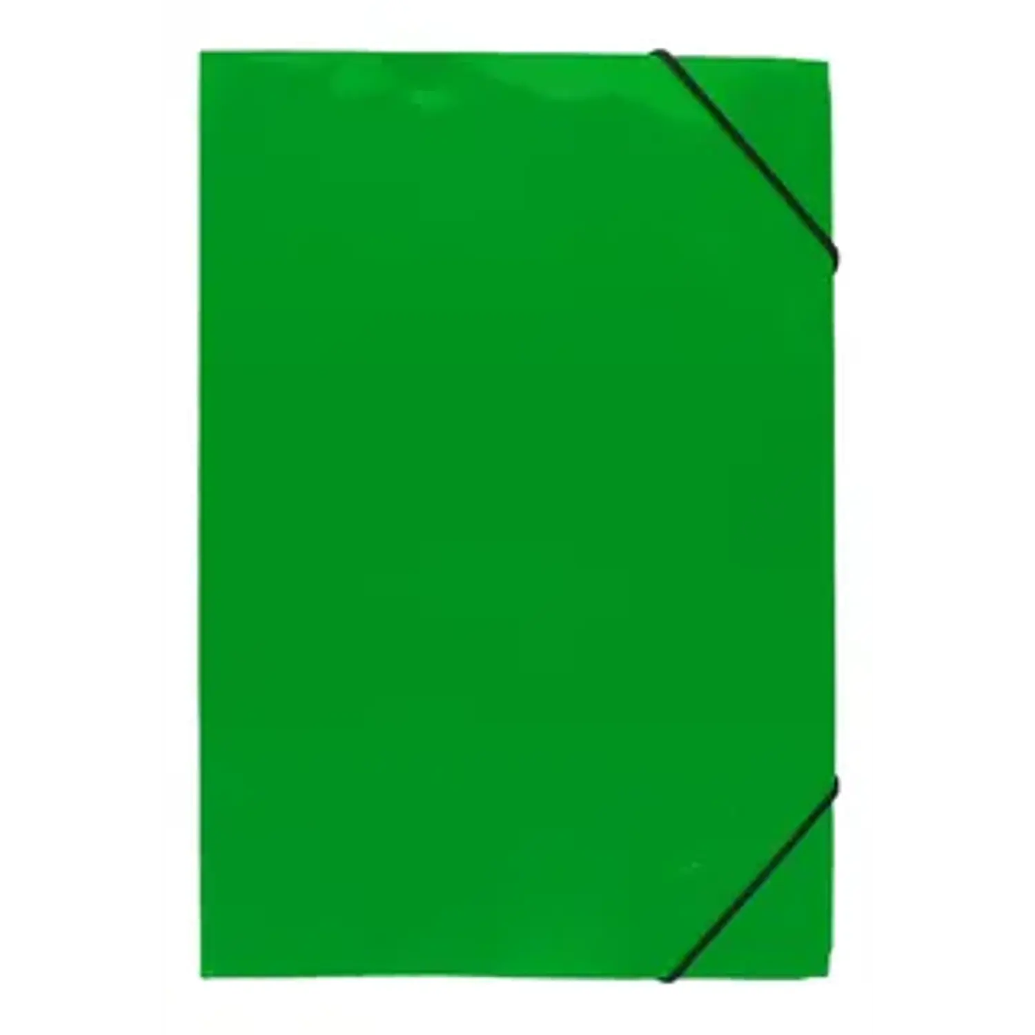 Lavoro - Carpeta con Fuelle Oficio con Elástico Pistacho - 12 Divisiones