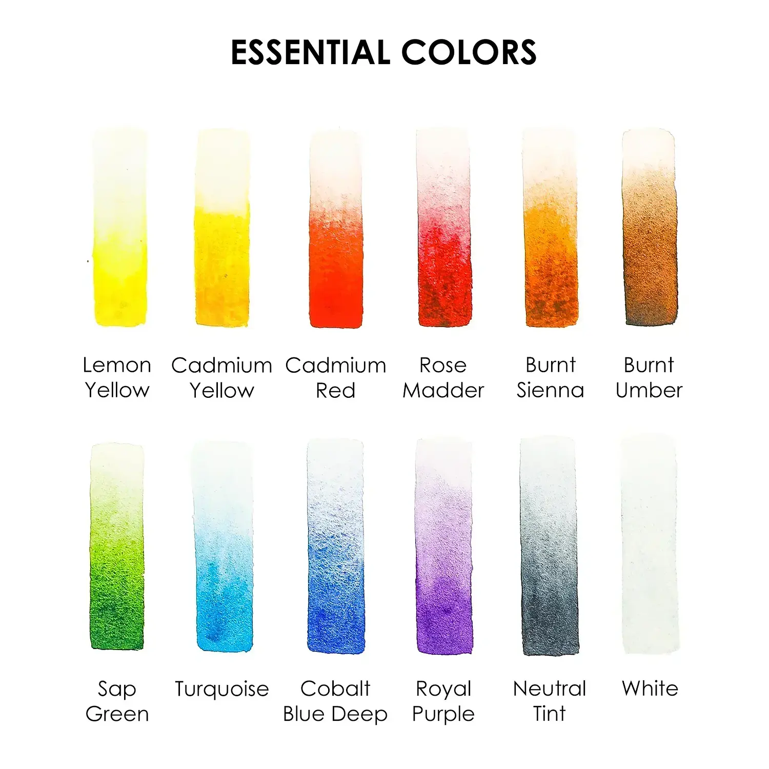 Grabie - Acuarelas en Pastilla - 12 Colores - Colores Esenciales – 3