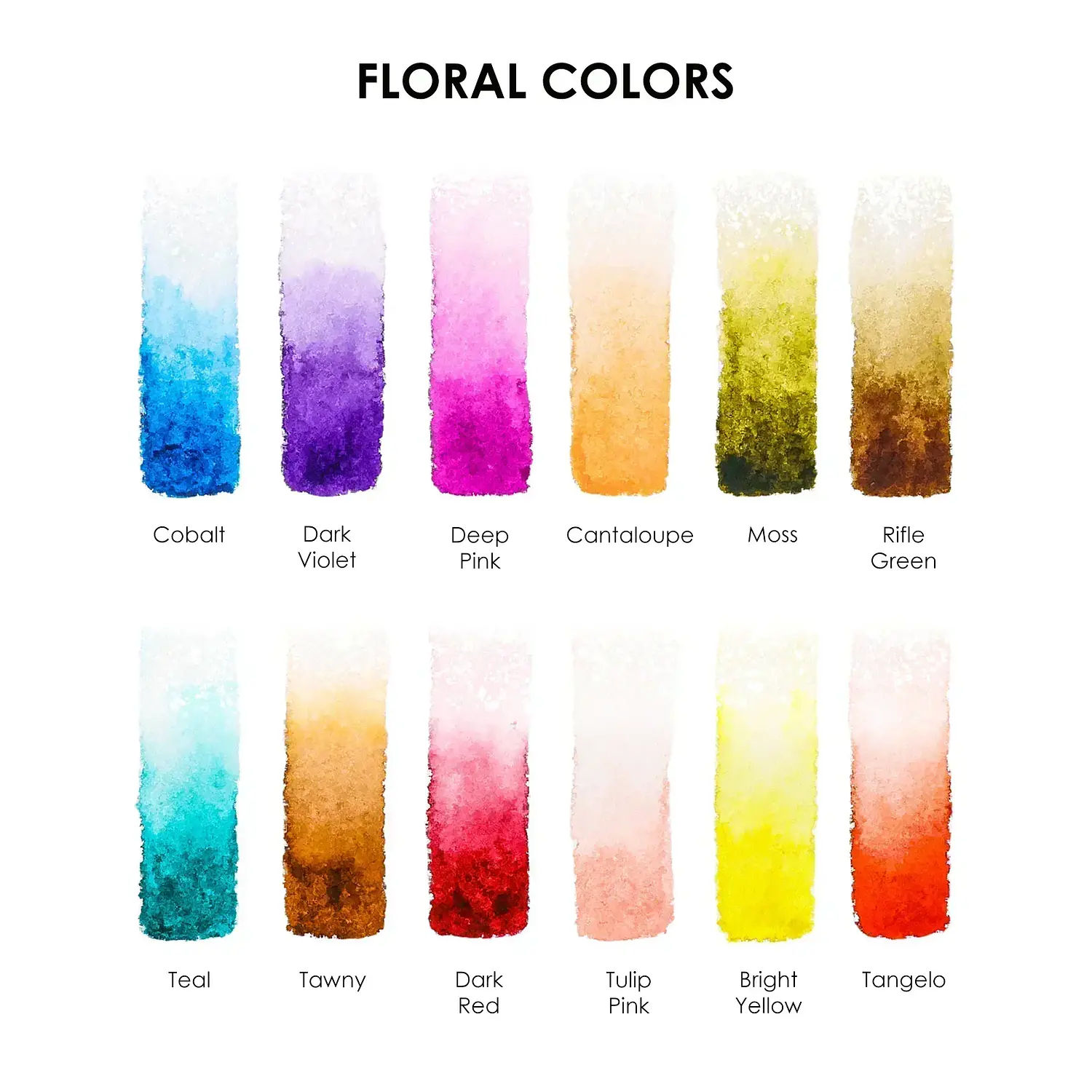 Grabie - Acuarelas en Pastilla - 12 Colores - Colores Florales – 5