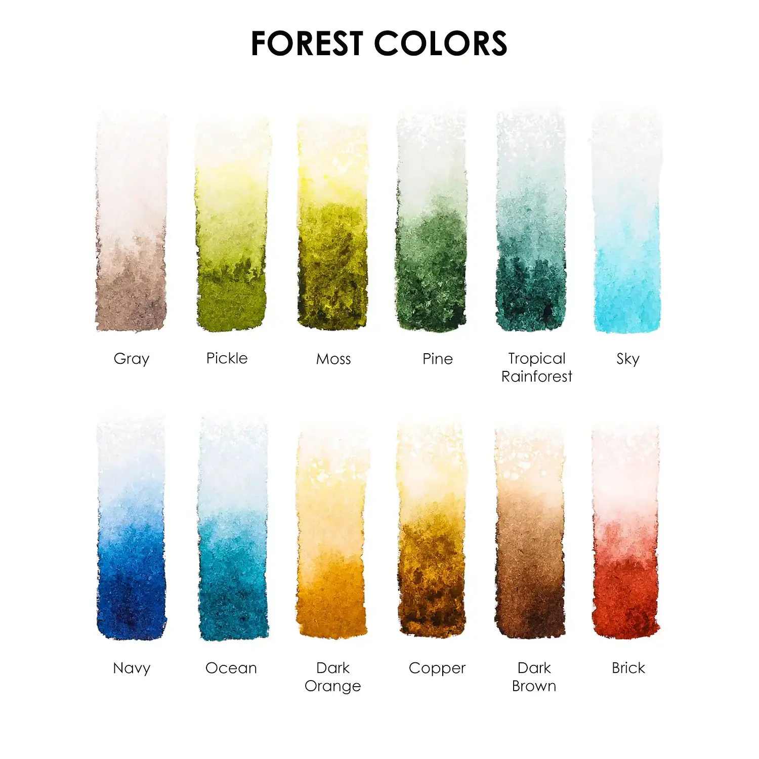 Grabie - Acuarelas en Pastilla - 12 Colores - Colores Bosques – 2