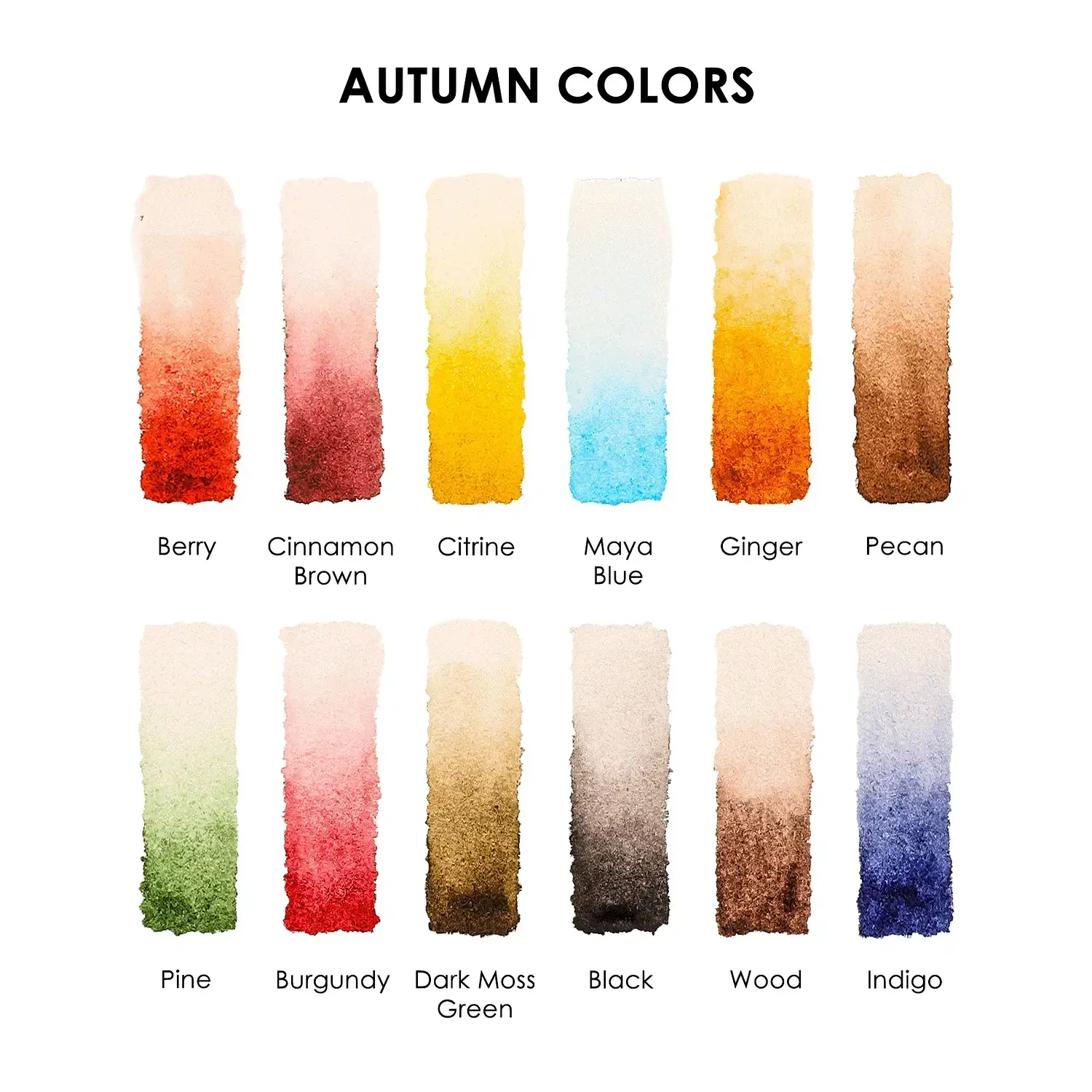 Grabie - Acuarelas en Pastilla - 12 Colores - Colores Otoñales – 5