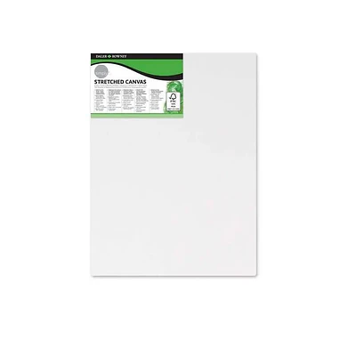 Daler Rowney - Bastidor Simply 10 X 24 Cm