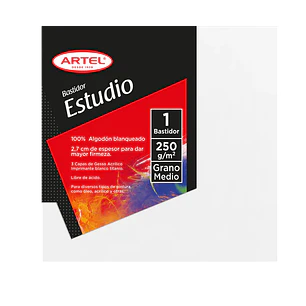 Artel - Bastidor Estudio - 250 Gm