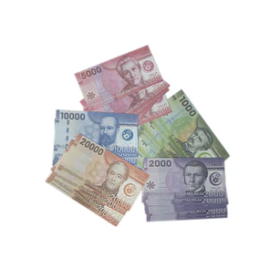 Nilsa – Set de Billetes y Monedas Nacionales Chilenas