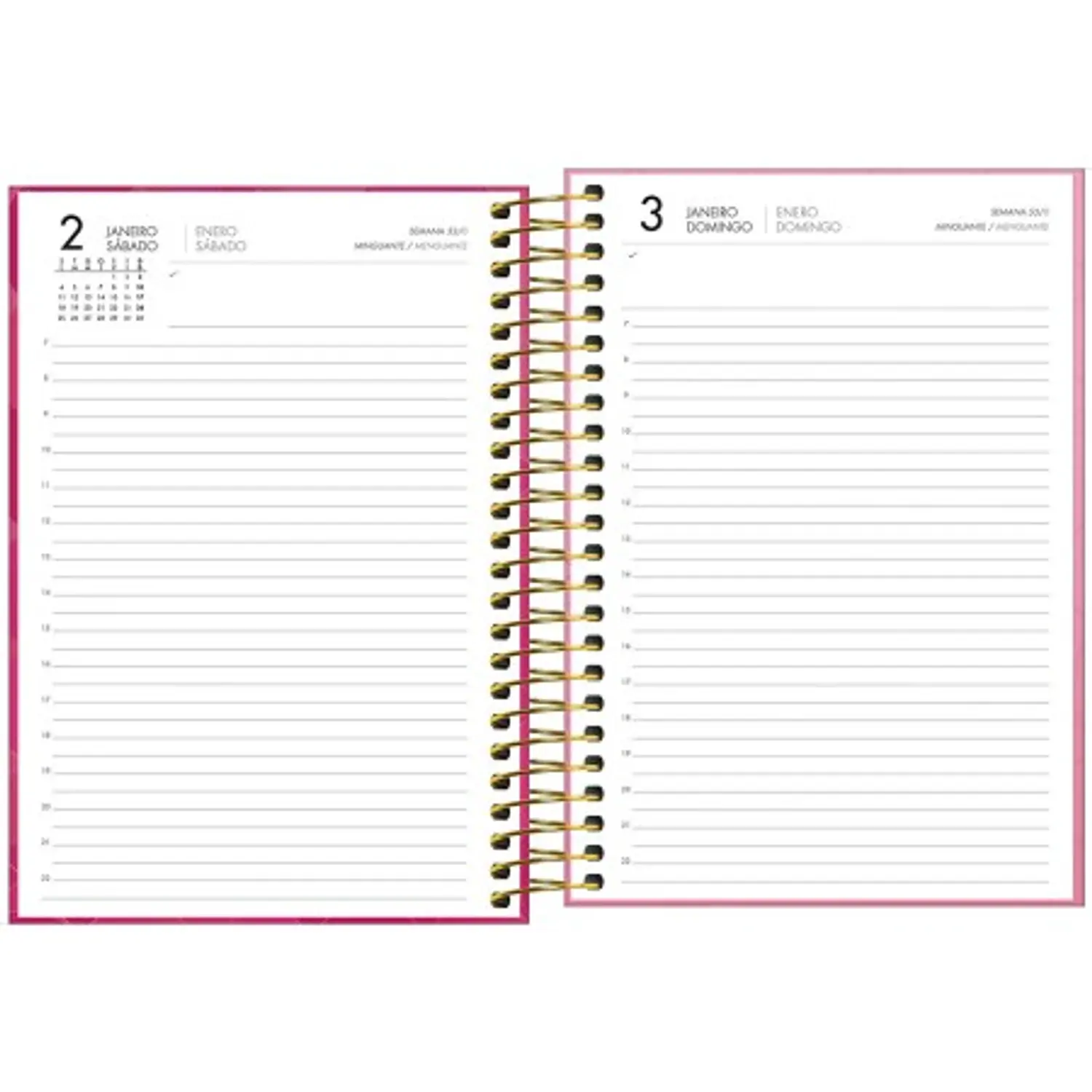 Tilibra – Agenda Espiral Ejecutiva Spot Femenina M5 – 2027 – 200 Hojas – 5