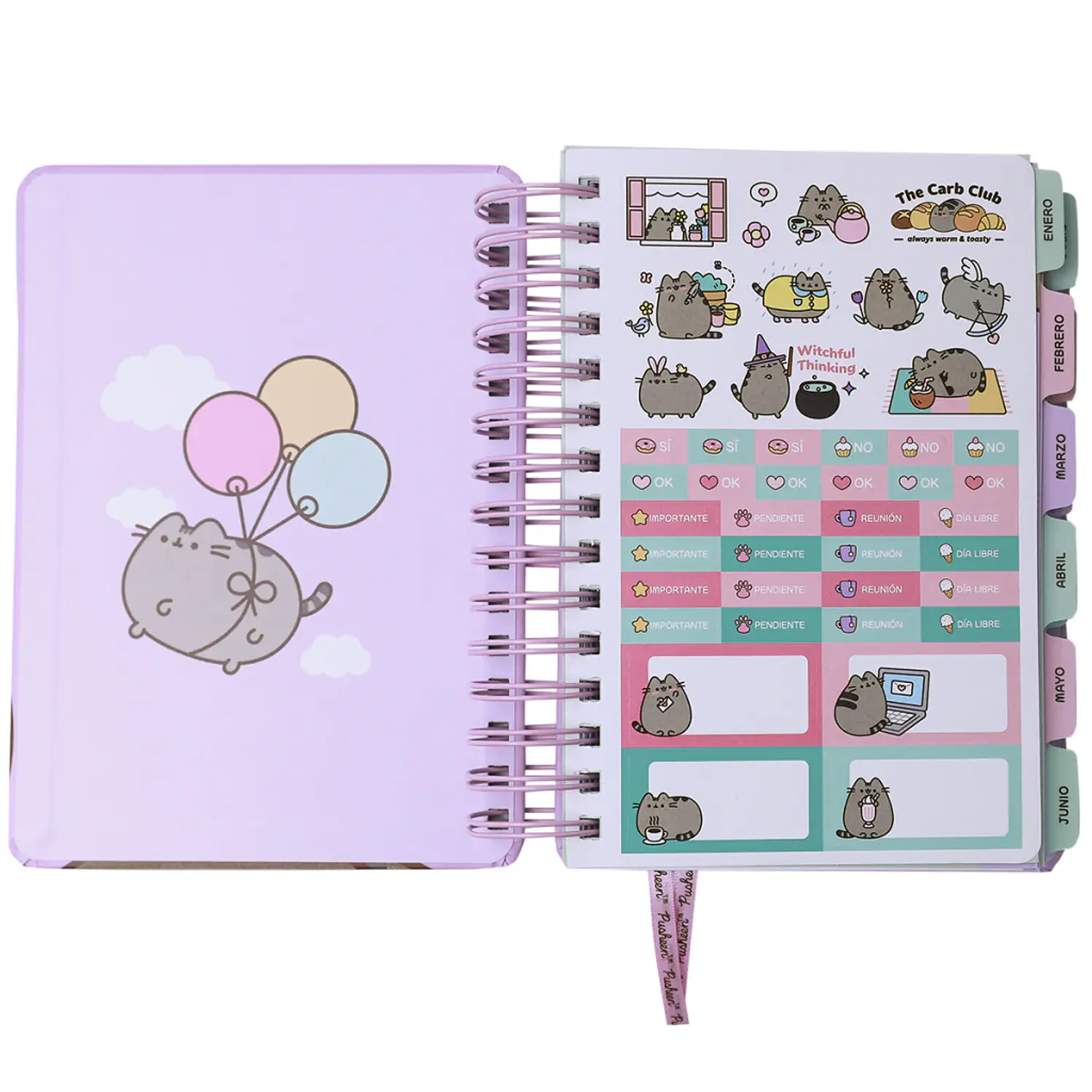 Mooving – Agenda Diaria Pusheen – 14 x 20 cm – 2027 – 2