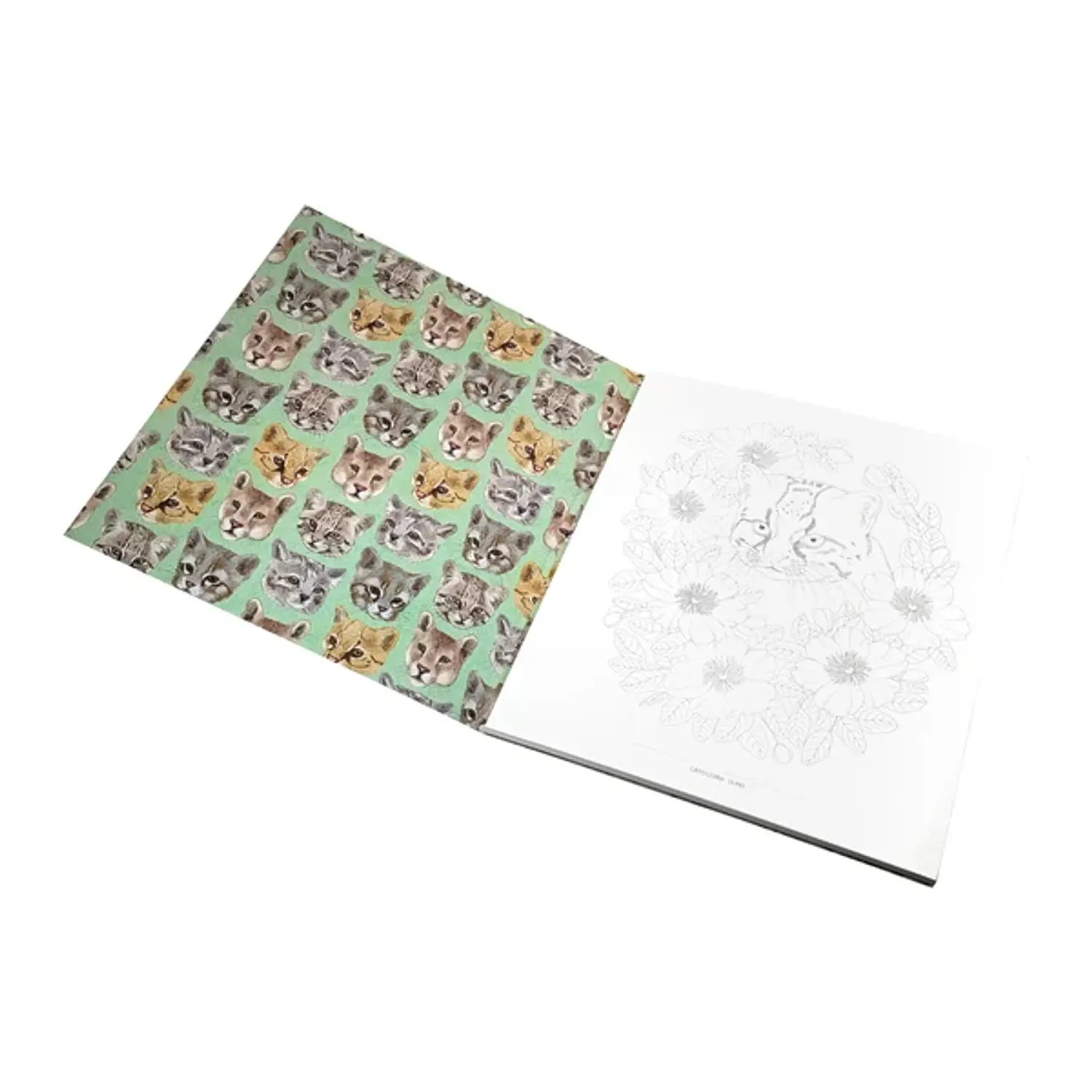 Artel – Block para Colorear Felinos de Chile – 21,7 x 25,3 cm – 3