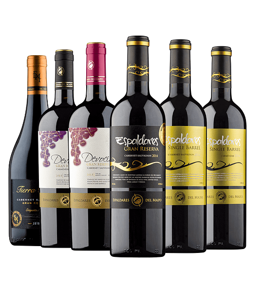 Caja X 6 Vinos Especial Selección despacho gratis