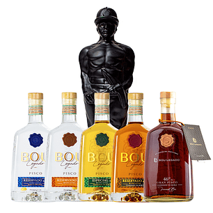 Pack Piscos Experiencia Bou 