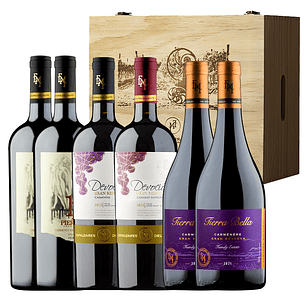 Mix de Vinos x 6 en caja de madera 4