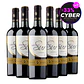 Caja x 6 Vinos Latitud Sur Carmenere - Miniatura 1
