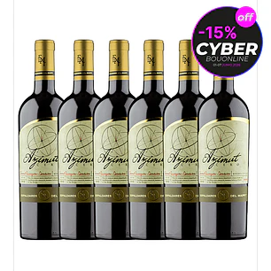 Caja x 6 Vinos Azimut Cero Ensamblaje Reserva Especial