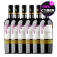 Caja x 6 devoción carmenere gran reserva - Miniatura 1