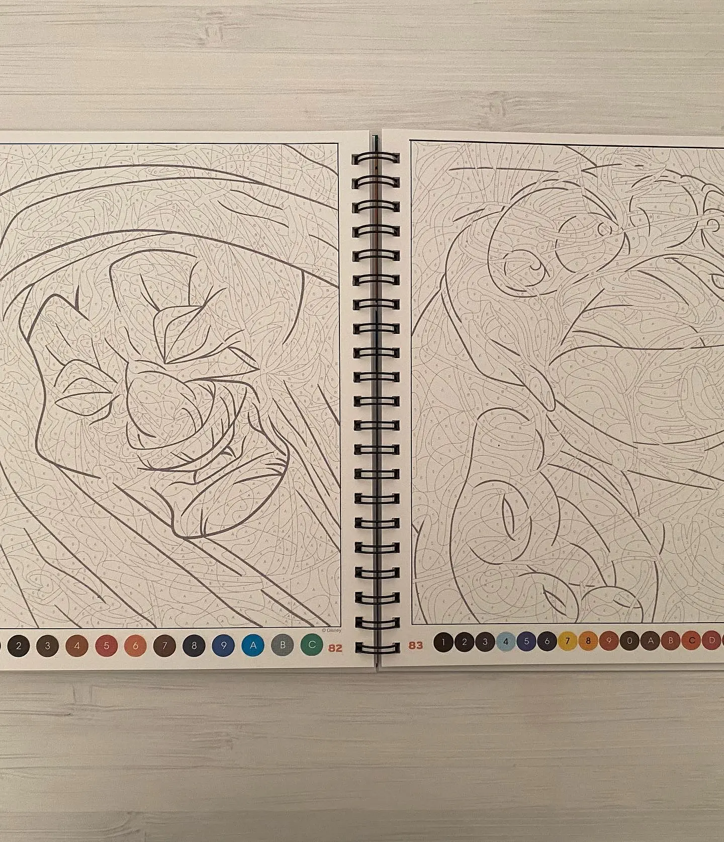 Libro para colorear 