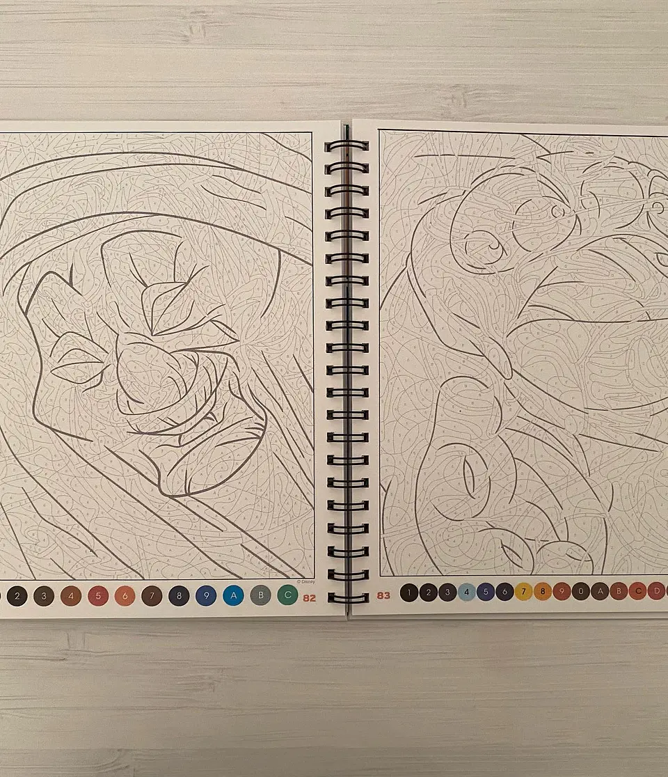 Libro para colorear 