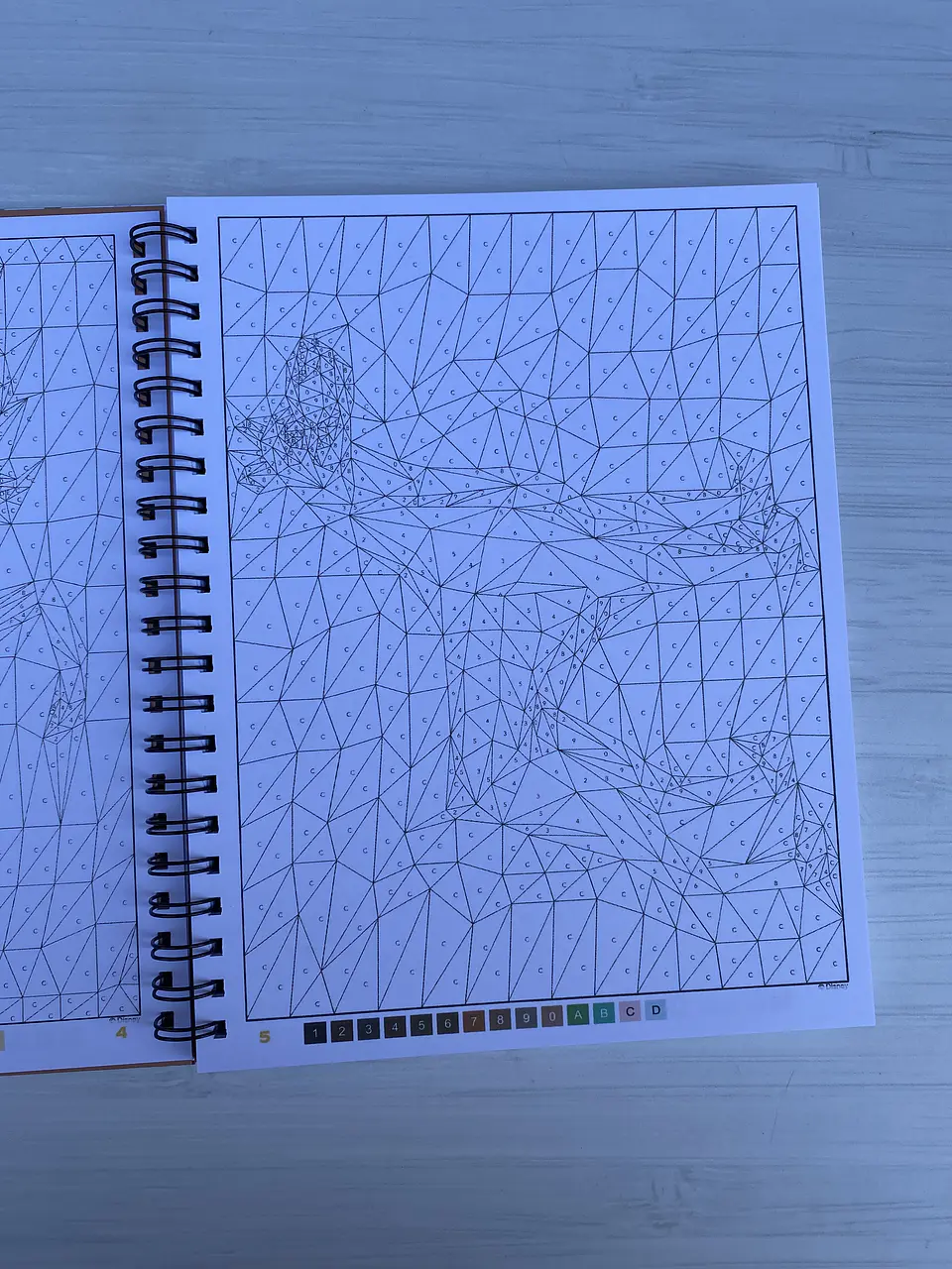 Libro para colorear 