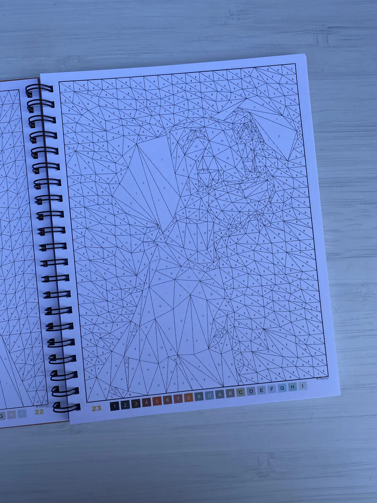 Libro para colorear 