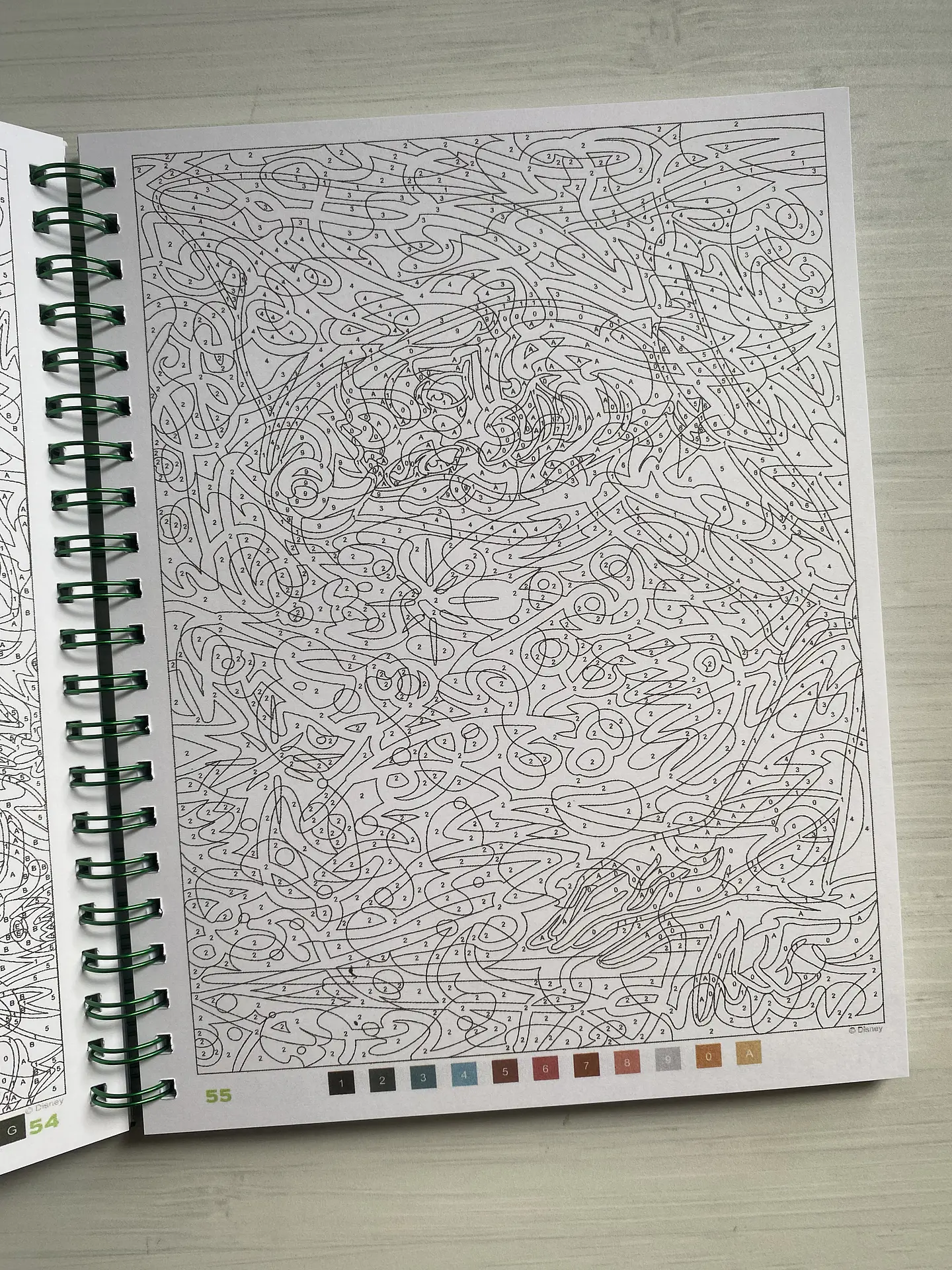 Libro para colorear 