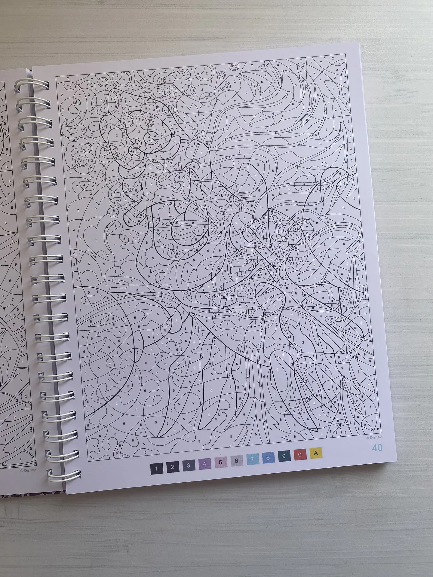 Libro para colorear 