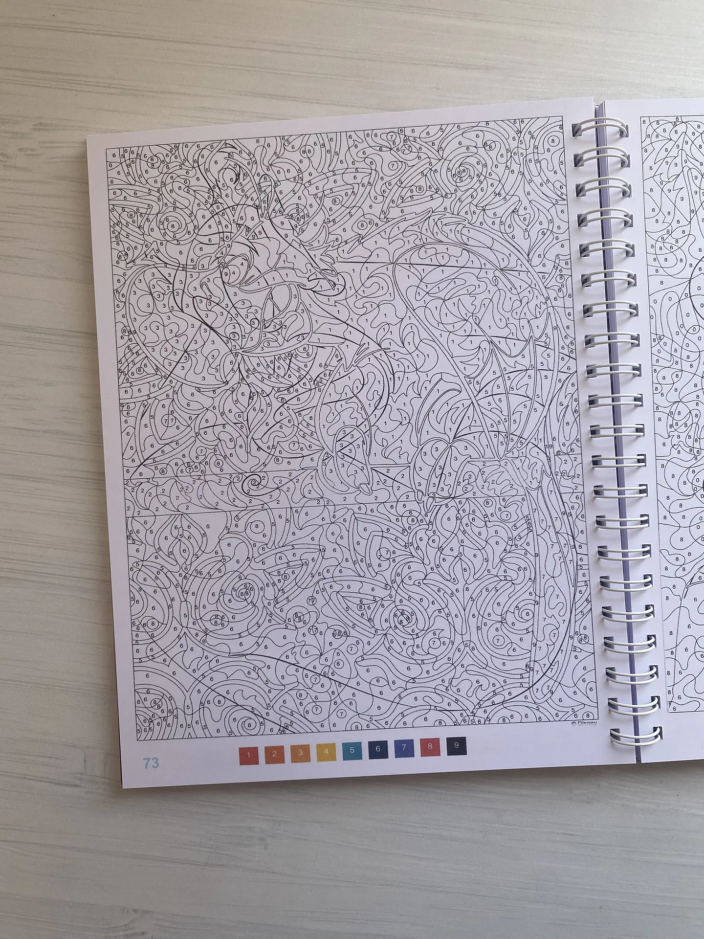 Libro para colorear 