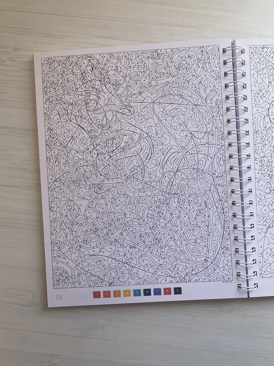 Libro para colorear 