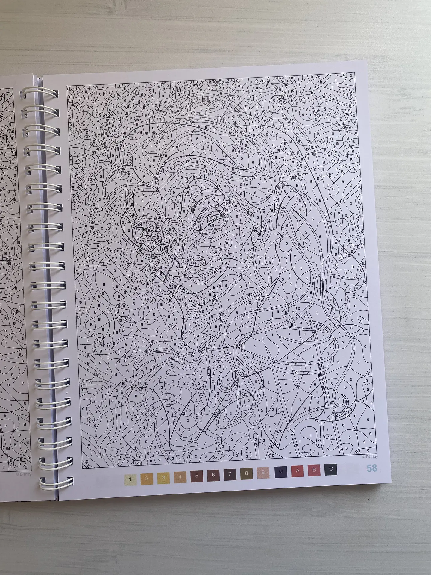 Libro para colorear 