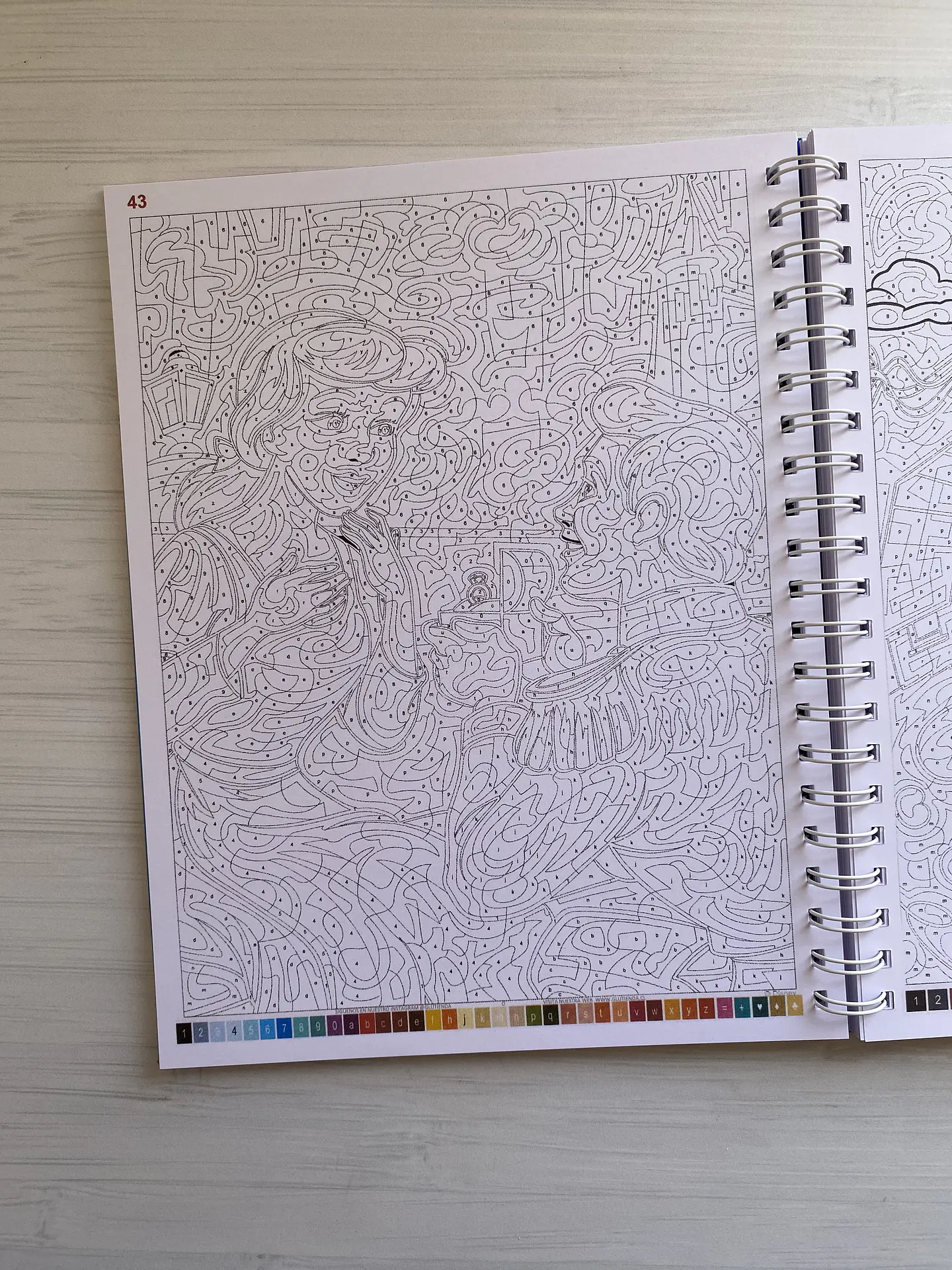 Libro para colorear 
