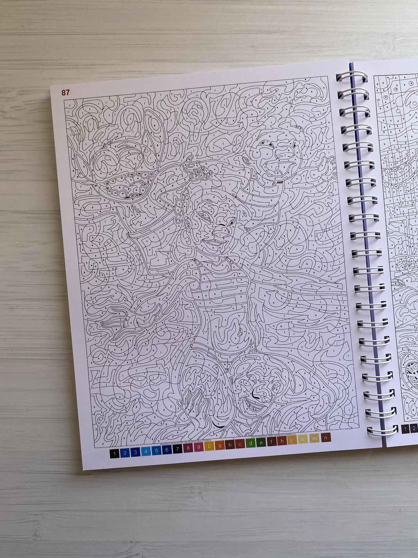 Libro para colorear 