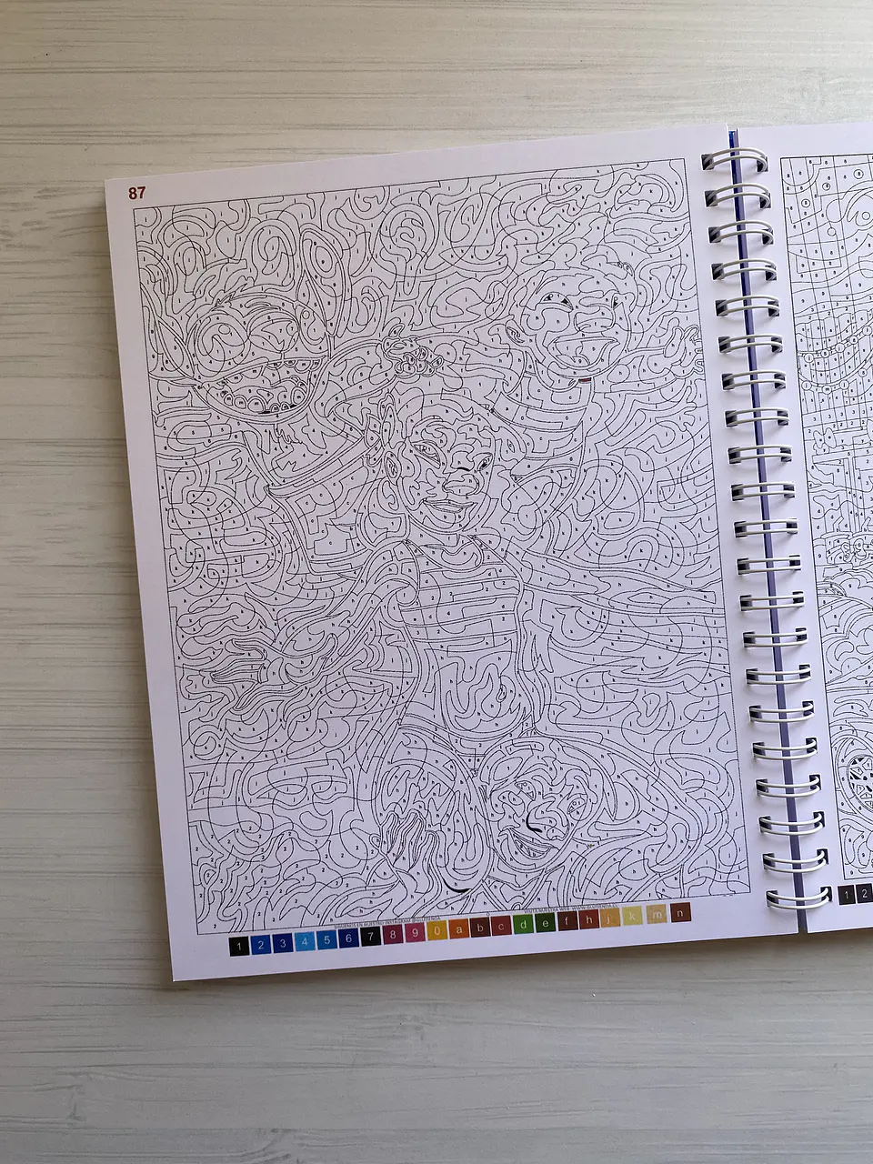 Libro para colorear 