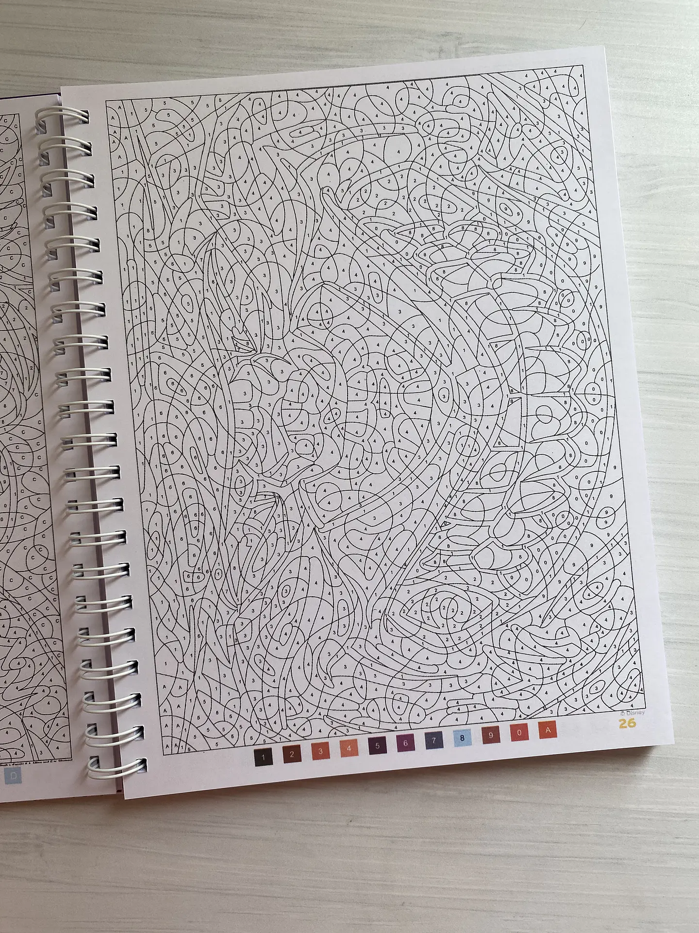 Libro para colorear 