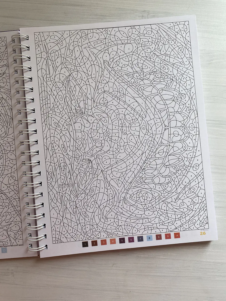 Libro para colorear 