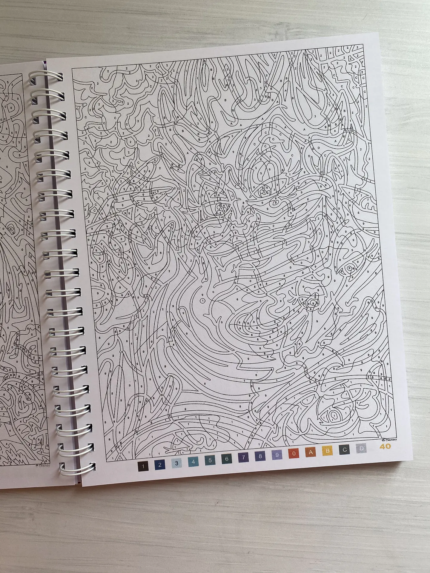 Libro para colorear 