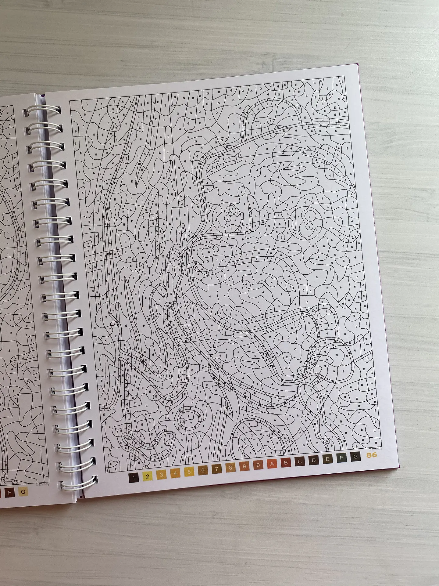 Libro para colorear 