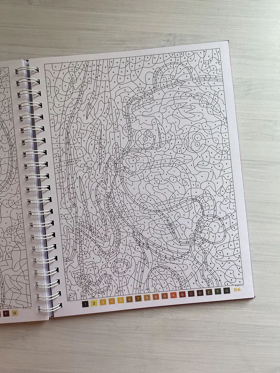 Libro para colorear 