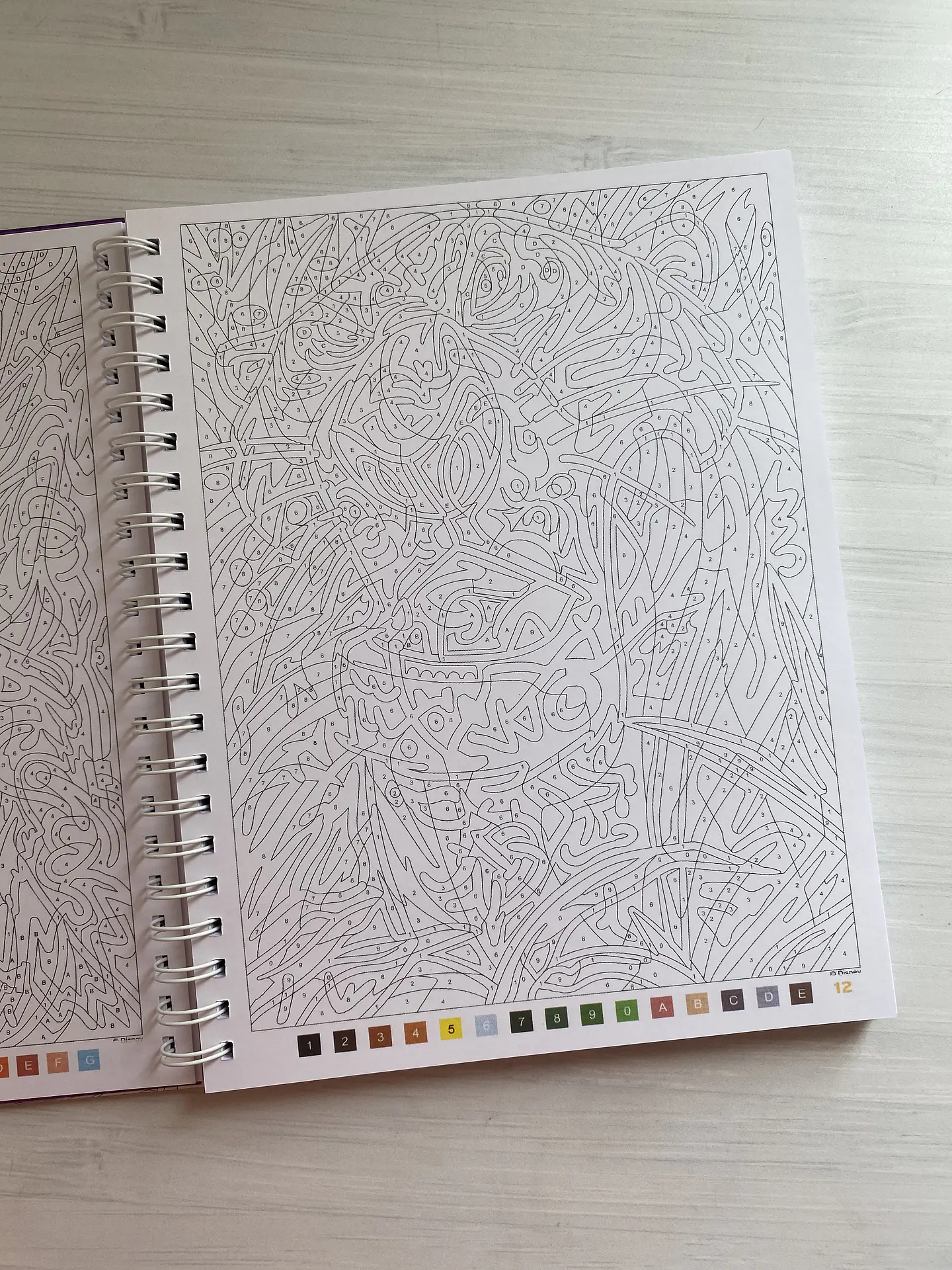 Libro para colorear 