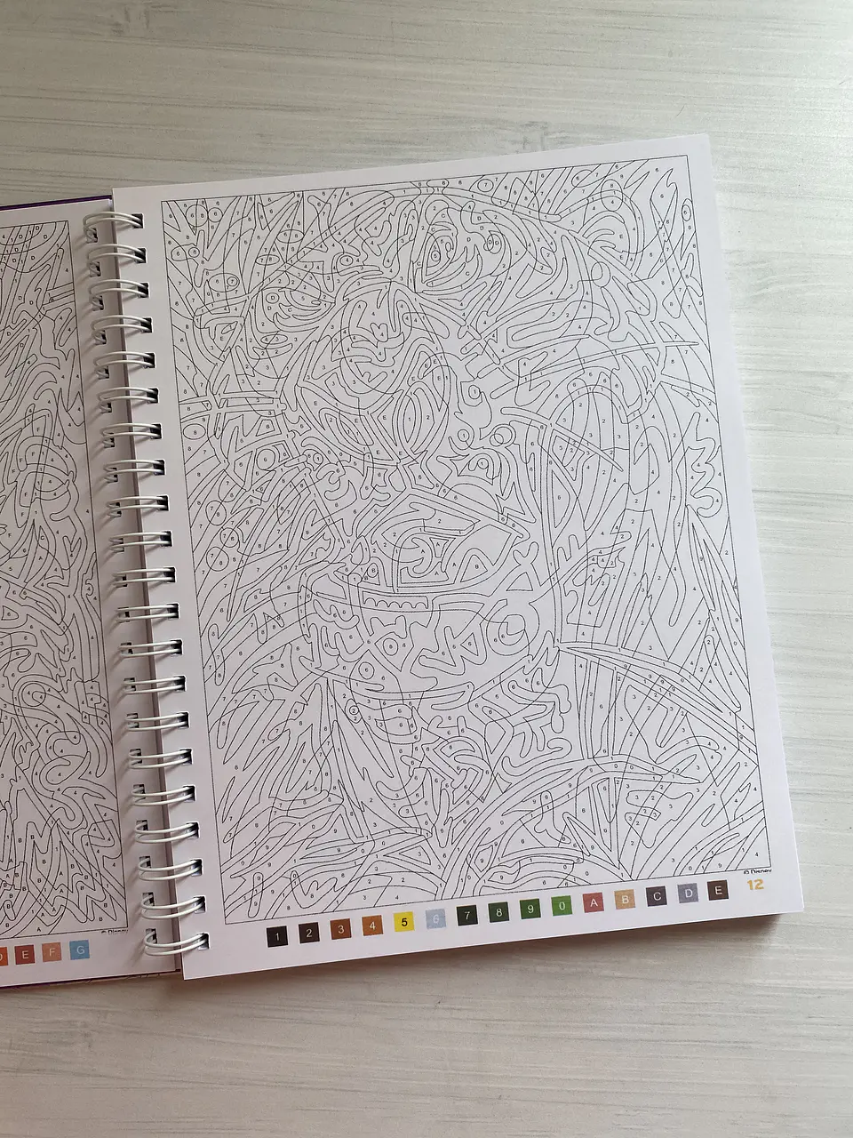 Libro para colorear 