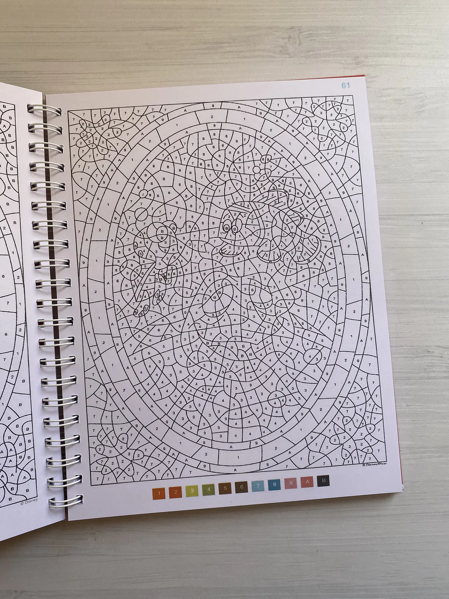 Libro para colorear 