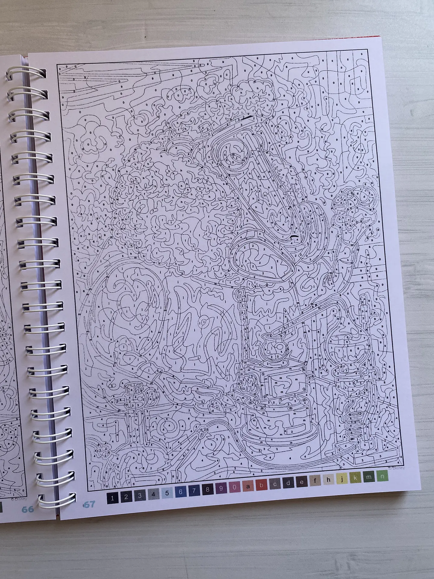 Libro para colorear 