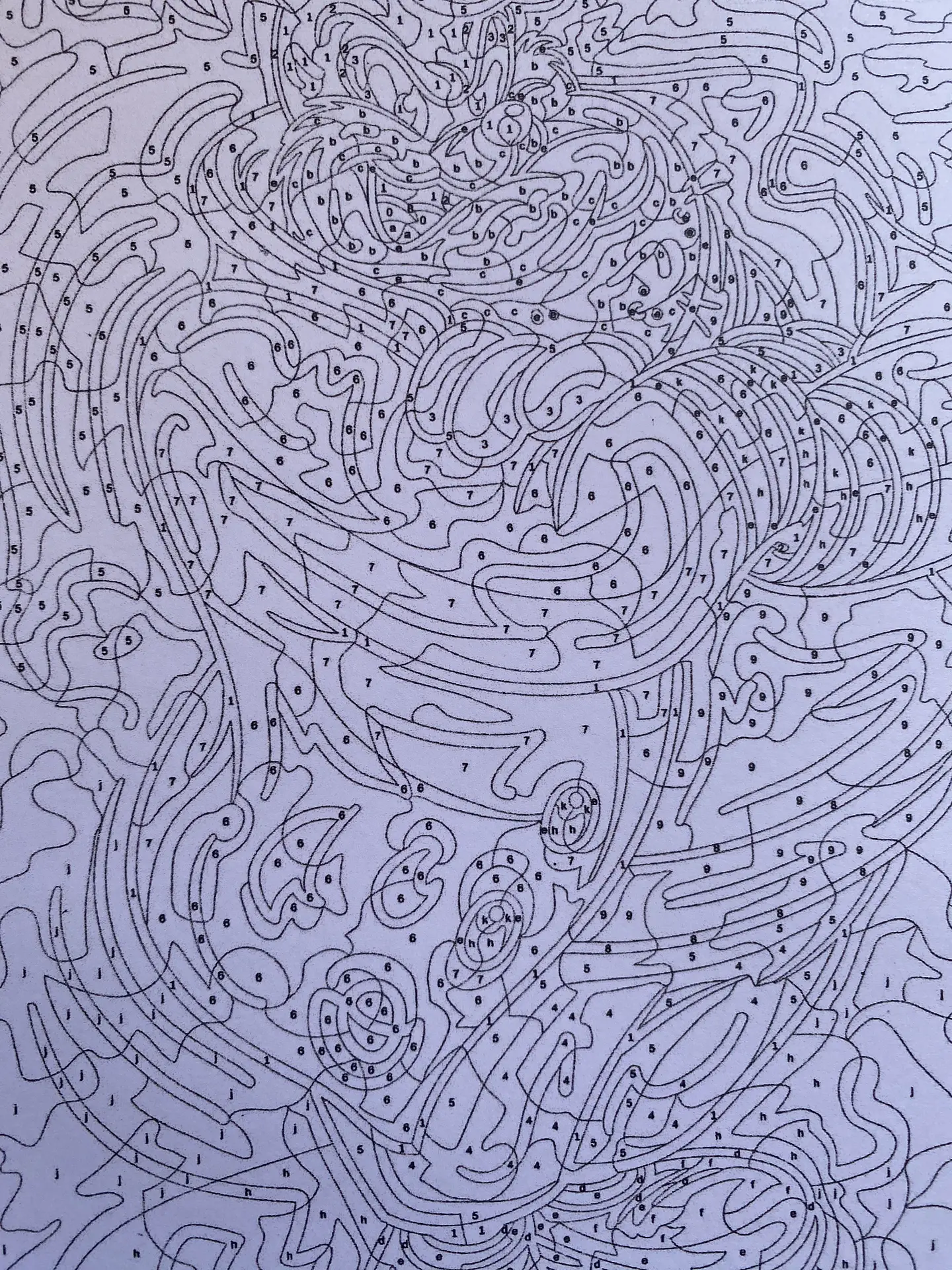 Libro para colorear 